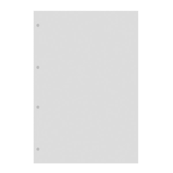 Filofax A4 Transparent Flyleaf with Tab