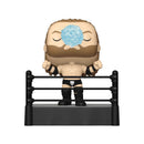WWE Triple H (Ring Entrance) Pop! Premium