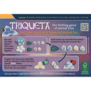 Triqueta Strategy Game