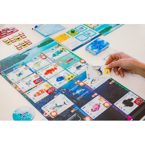 Finspan Strategy Game