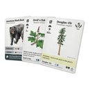 Reforest Plants of the Pacific Northwest Coast Board Game