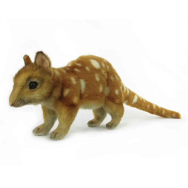 Hansa Quoll Plush (57cm L)