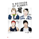 5 Seconds of Summer Poster