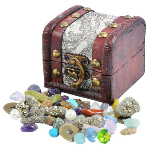 British Fossils Treasure Chest Pack