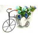 Flowerpot de Rose 3-Wheeled Bicycle w/ Flower Décor