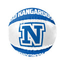 AFL Inflatable Beach Ball